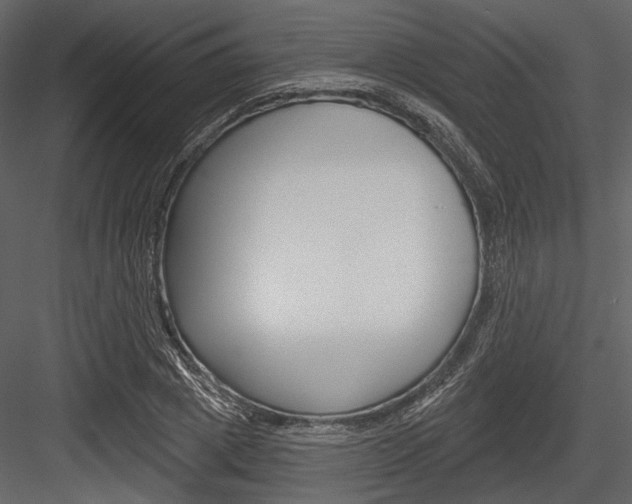 X0000084540833200702230906