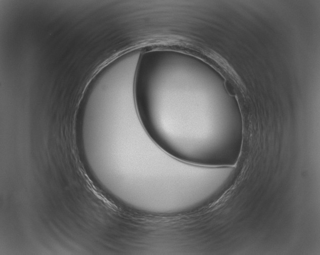 X0000084540834200702230906