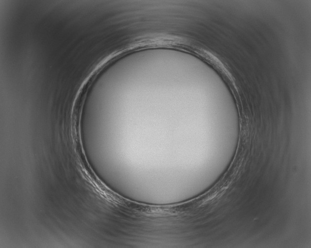 X0000084540835200702230906