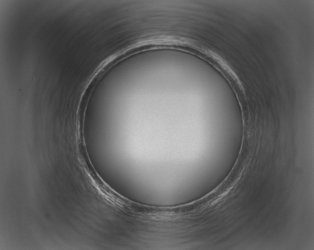 X0000084540837200702230906