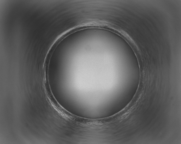 X0000084540838200702230906