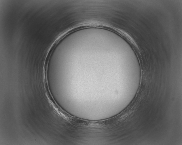 X0000084540839200702230906