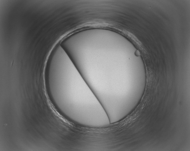 X0000084540840200702230906