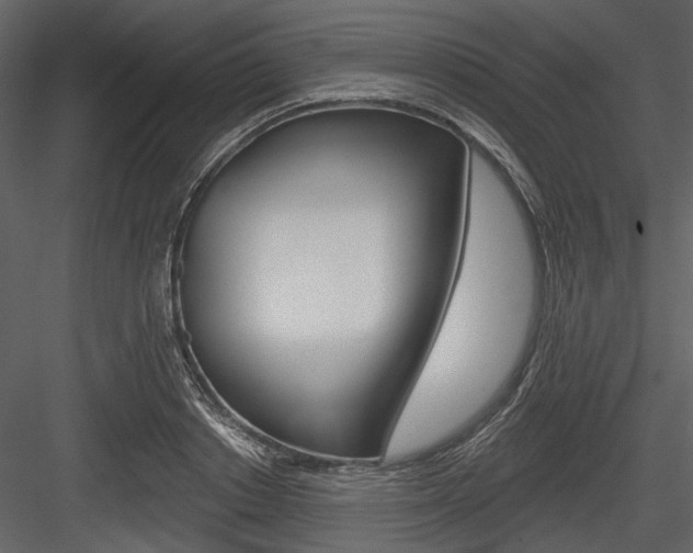 X0000084540842200702230906