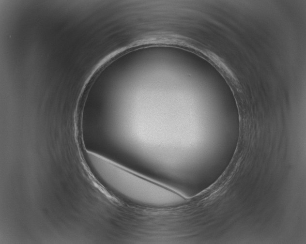 X0000084540846200702230906