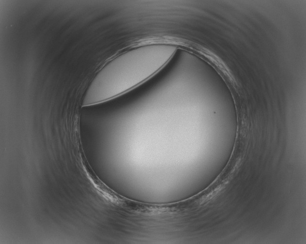 X0000084540849200702230906