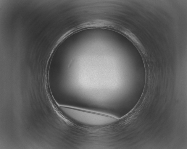 X0000084540850200702230906