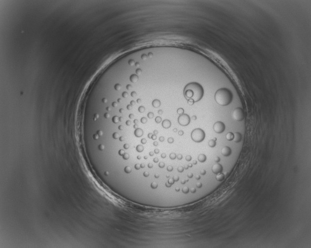 X0000084540851200702230906