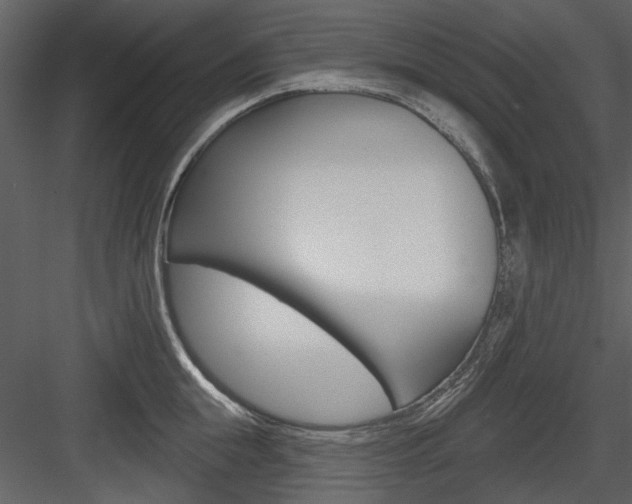X0000084540855200702230906