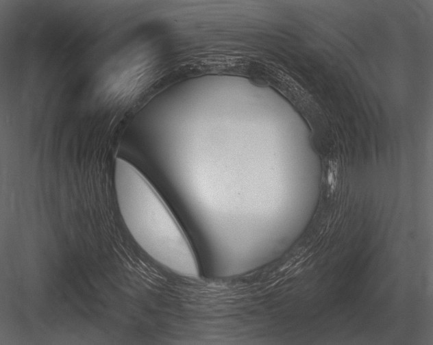 X0000084540867200702230906