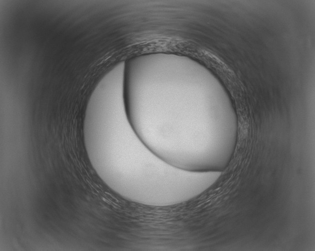 X0000084540869200702230906