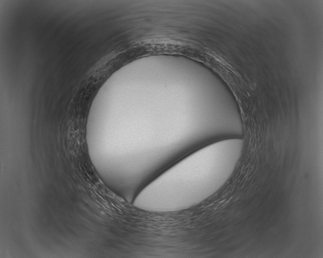X0000084540870200702230906