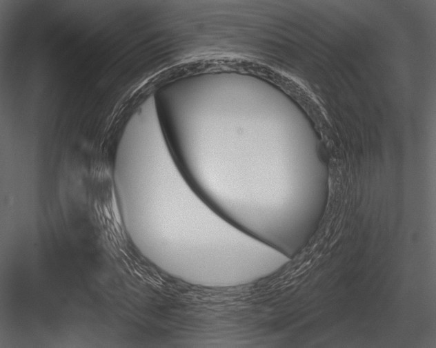 X0000084540871200702230906