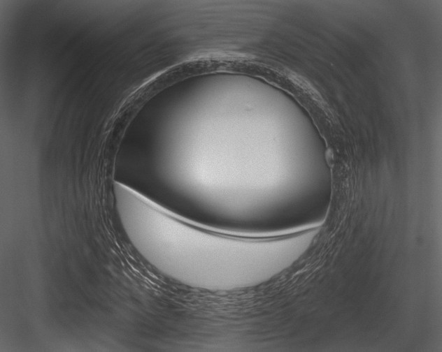 X0000084540872200702230906