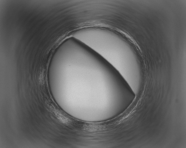 X0000084540873200702230906