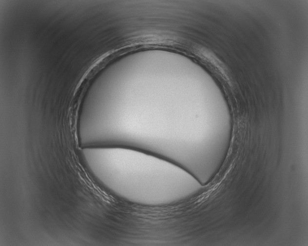 X0000084540875200702230906
