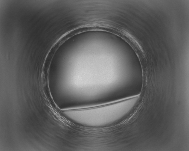 X0000084540876200702230905