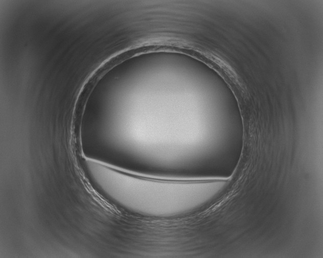 X0000084540880200702230905