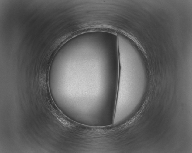 X0000084540881200702230905