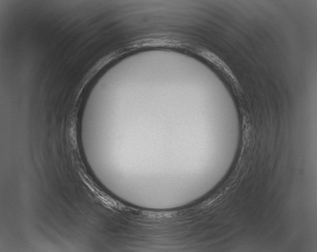 X0000084540882200702230905