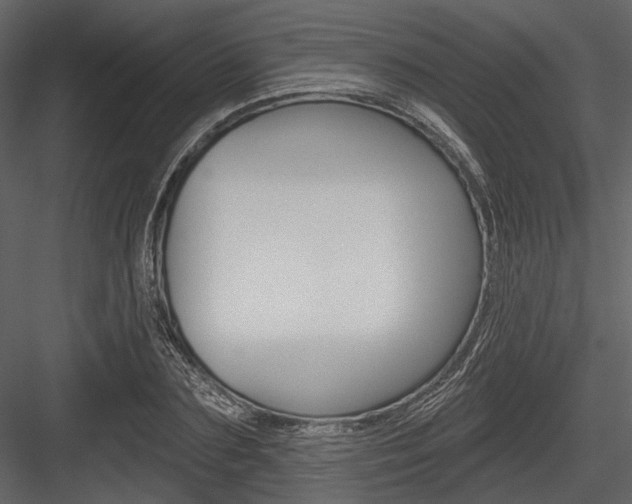 X0000084540883200702230905