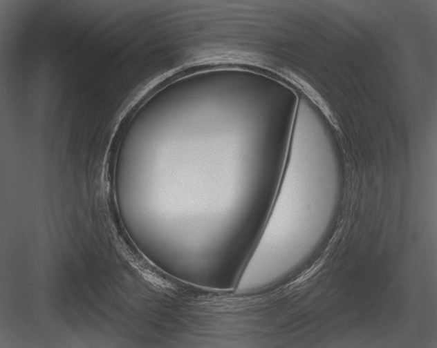 X0000084540885200702230905