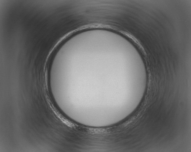 X0000084540886200702230905