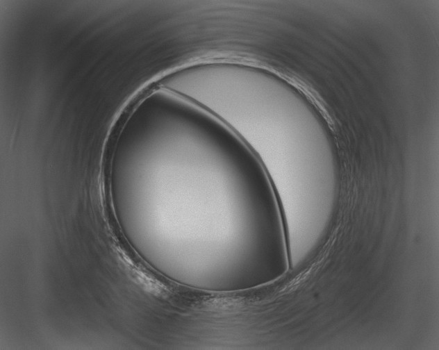 X0000084540888200702230905