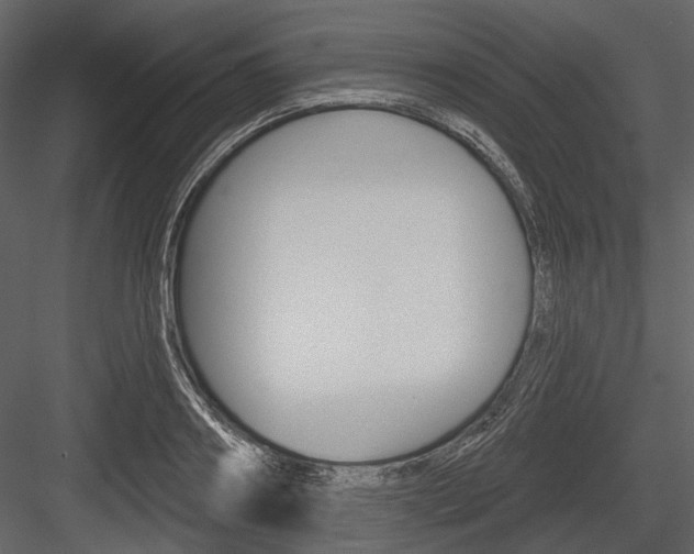 X0000084540890200702230905