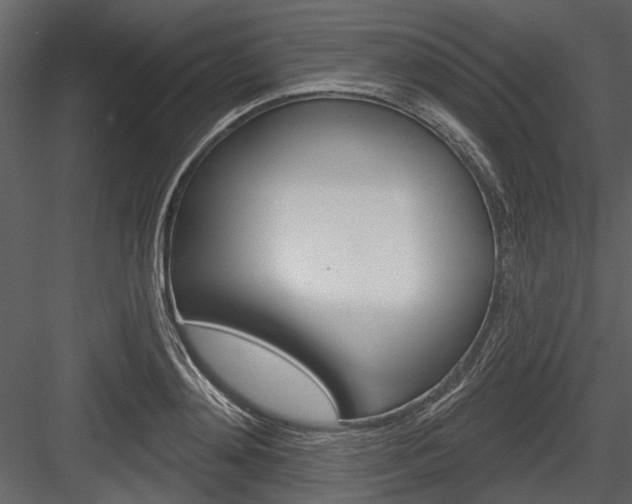 X0000084540892200702230905