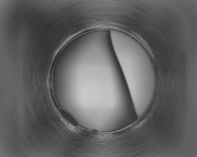 X0000084540893200702230905