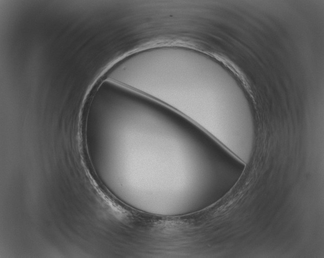 X0000084540894200702230905