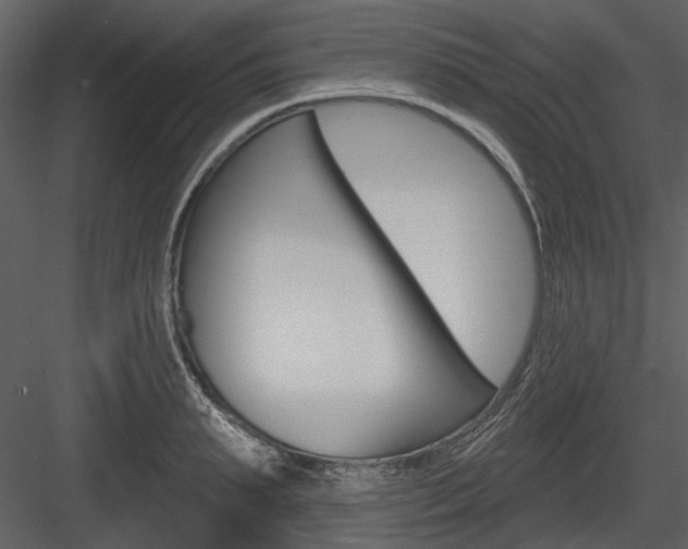 X0000084540895200702230905
