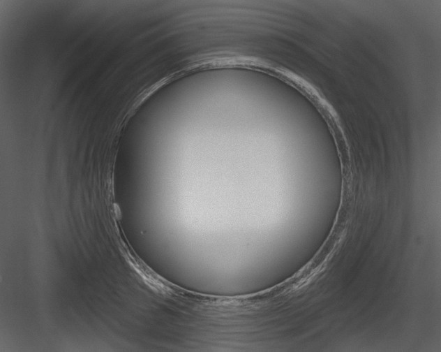 X0000084540897200702230905