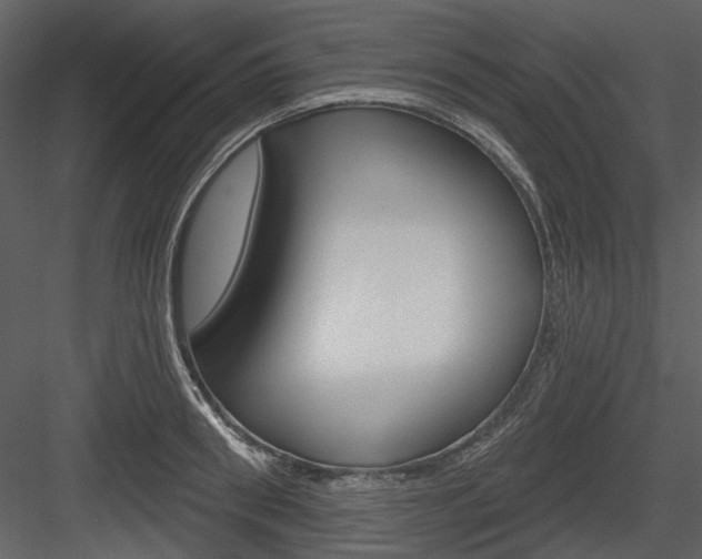 X0000084540898200702230905