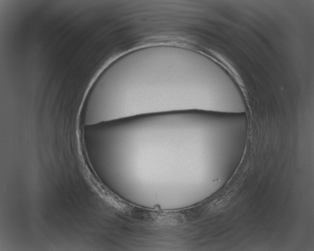 X0000084540899200702230905
