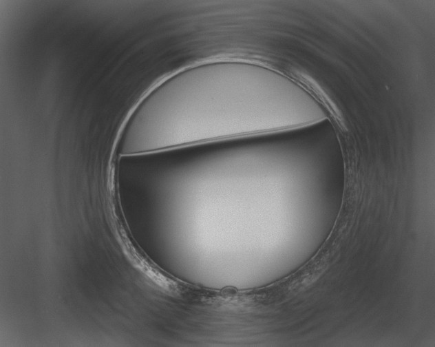 X0000084540900200702230905