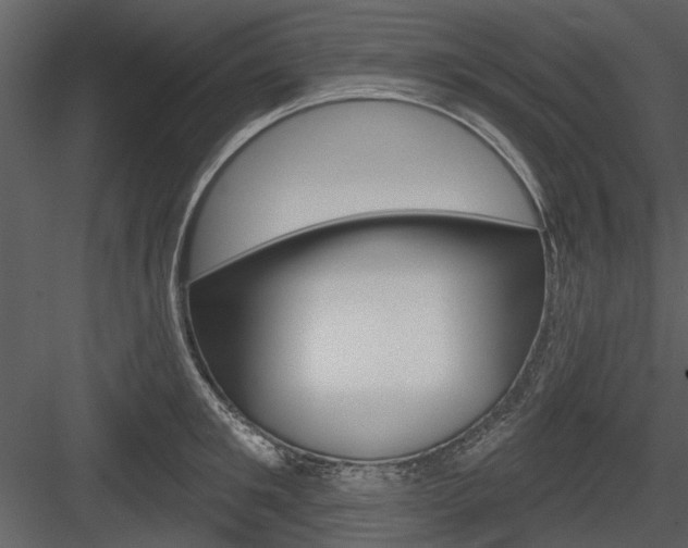 X0000084540901200702230905
