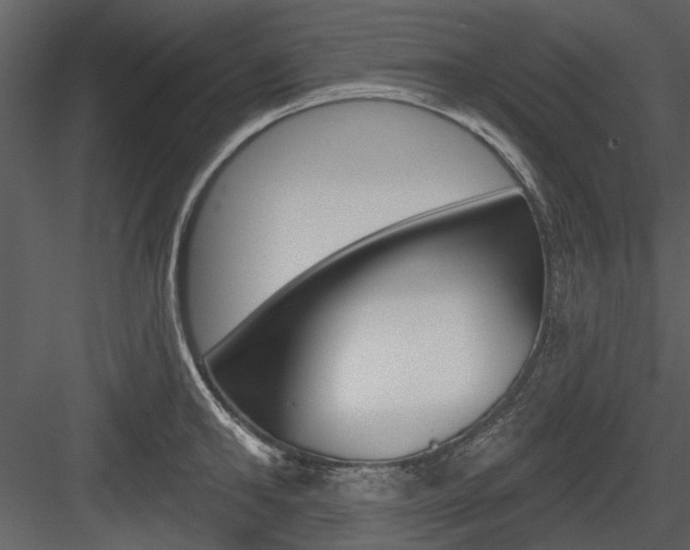 X0000084540902200702230905