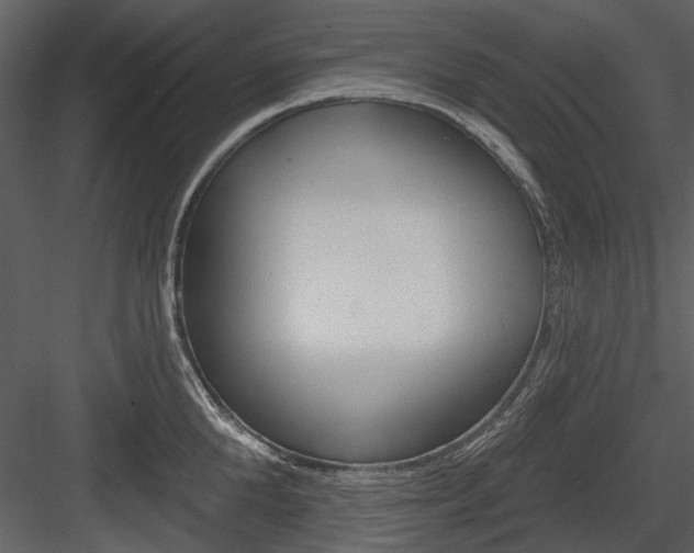X0000084540904200702230905