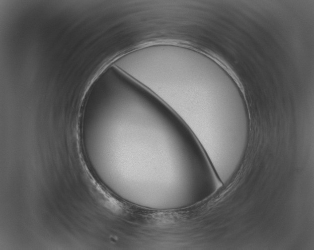 X0000084540906200702230905