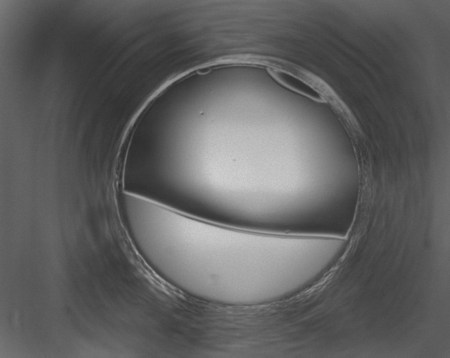 X0000084540908200702230905