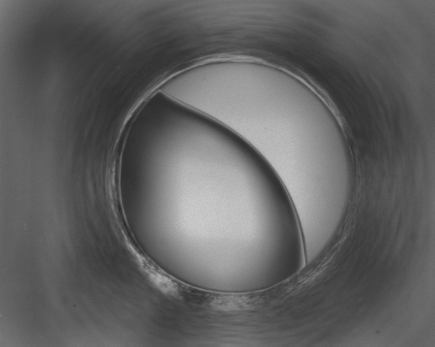 X0000084540909200702230905