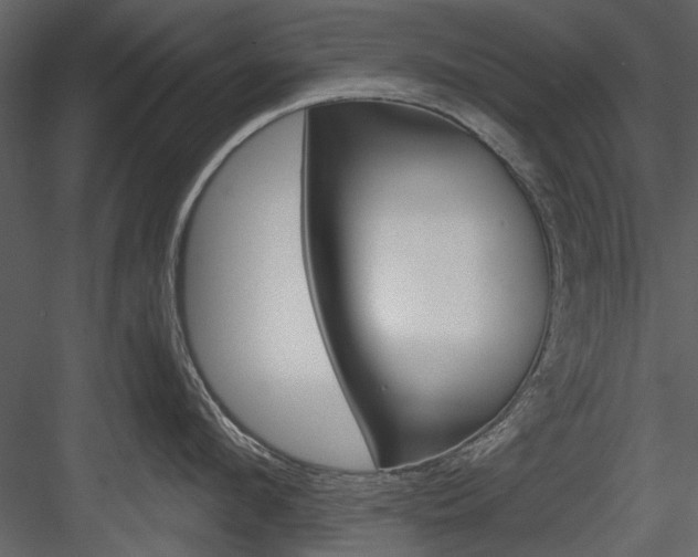 X0000084540912200702230905