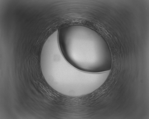 X0000084540916200702230904
