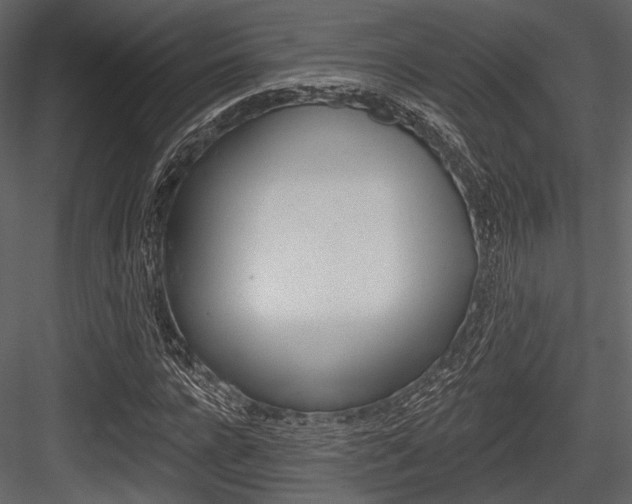 X0000084540920200702230904
