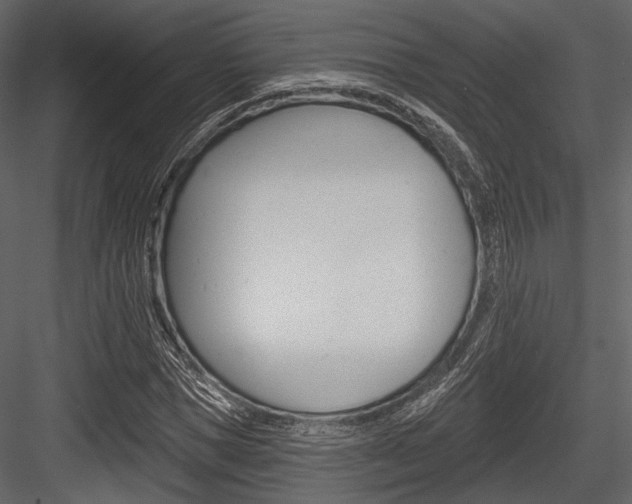 X0000084540921200702230904