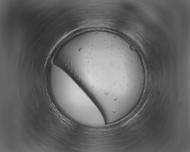 X0000084540925200702230904