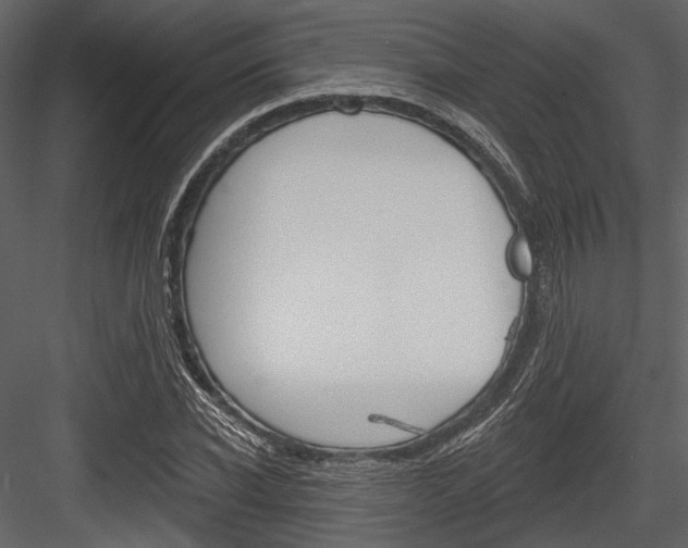 X0000084540926200702230904