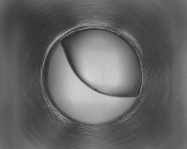 X0000084540928200702230904